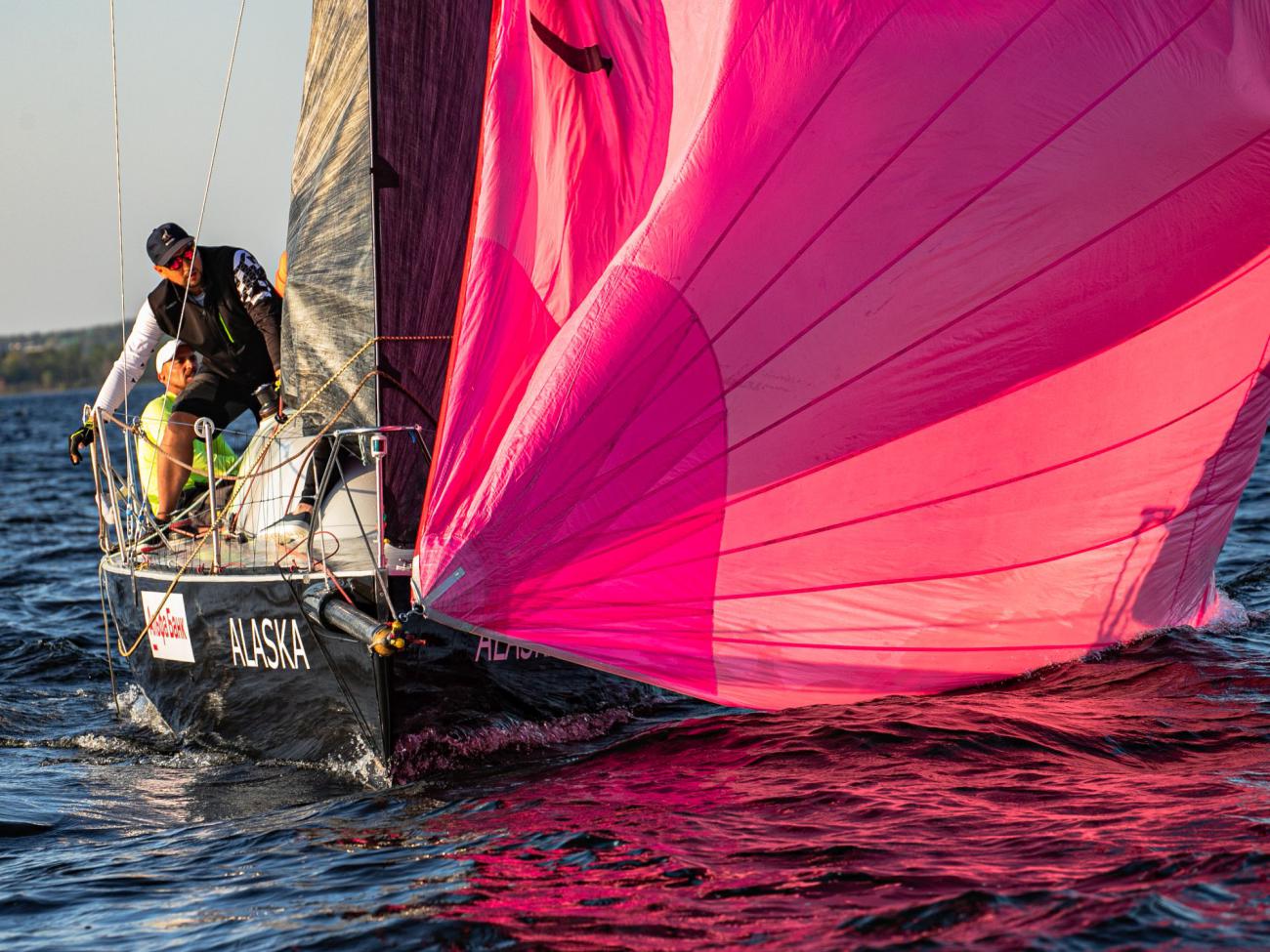 Огни Венца 2024